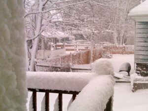 snow_20110112 snow_20110112