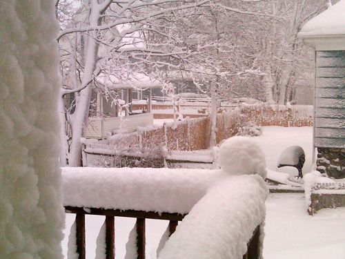 snow_20110112